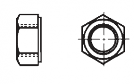 PTFE Hex Nuts Plastic