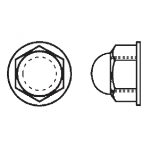 Nylon Hex Lock Cap Nuts Plastic
