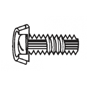 Plastic Metal Core Screws Round Head